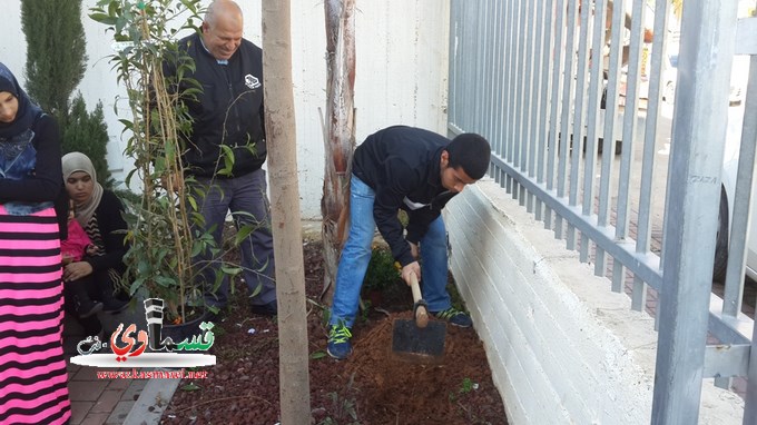 طلاب الثانوية الجديدة يحتفلون بعيد الشجرة